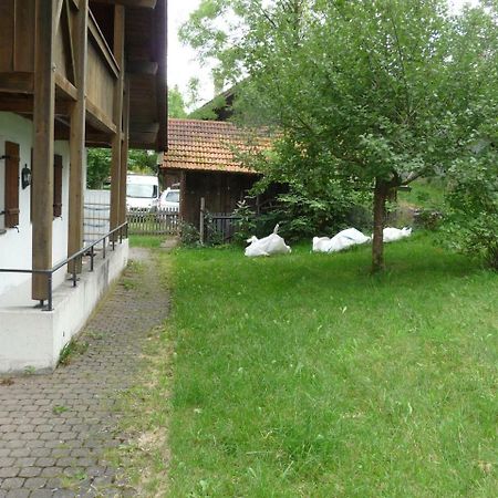 Villa Ferienhaus Beim Holzeder à Wangen  Extérieur photo